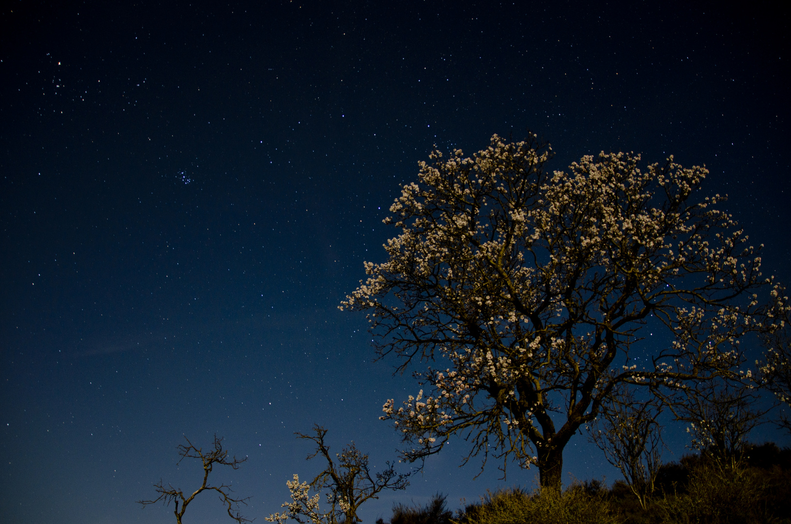 Luz de Luna.