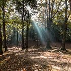 Luz de mediodia