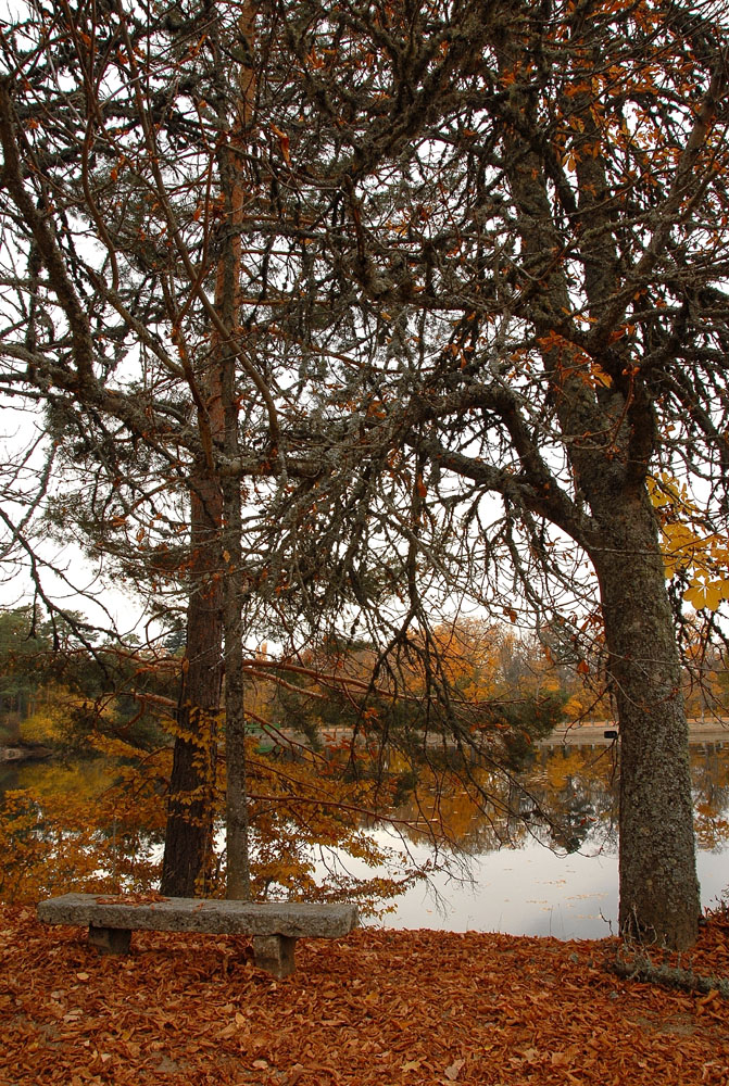 Luz de otoño