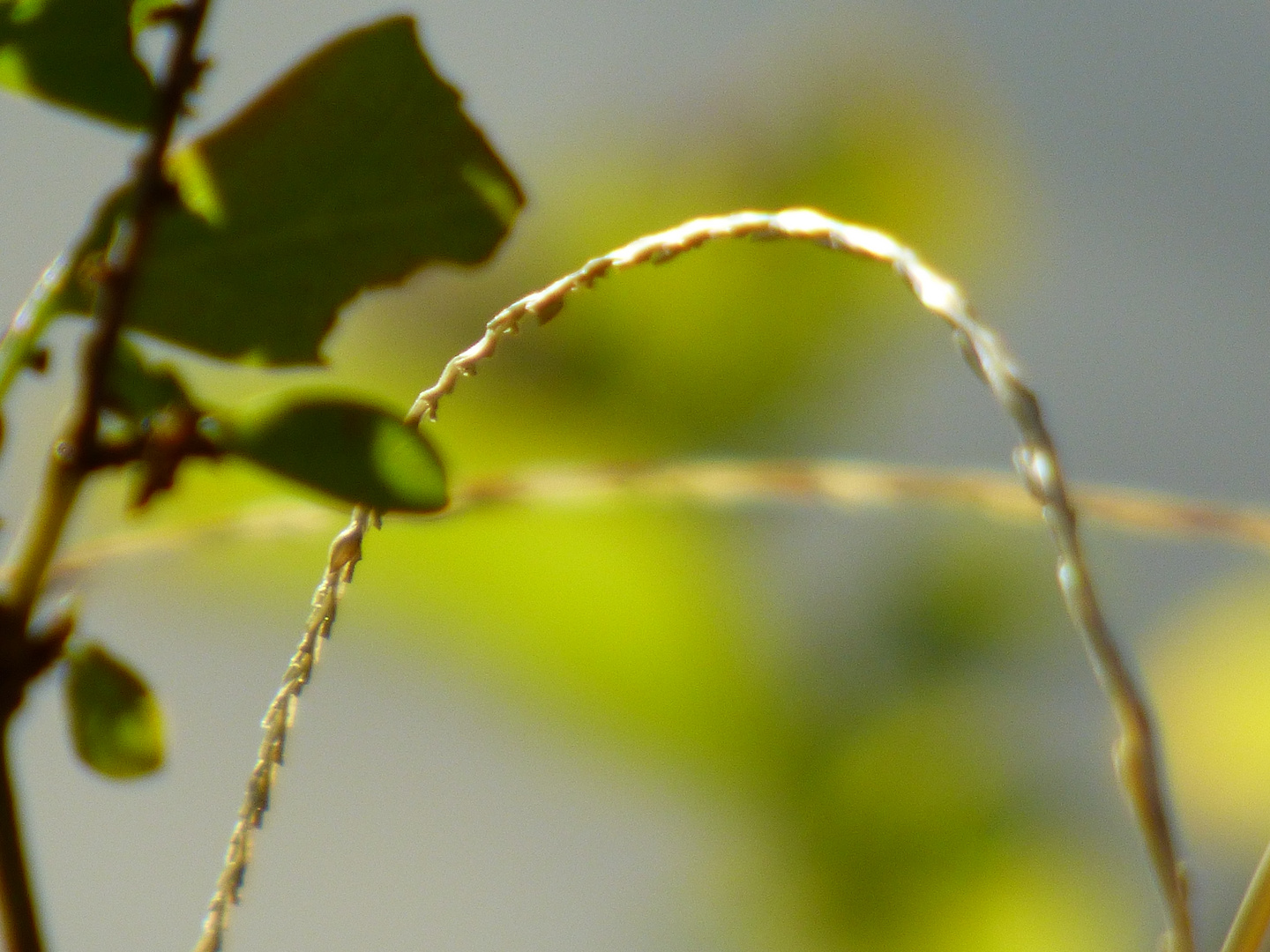 Luz de otoño