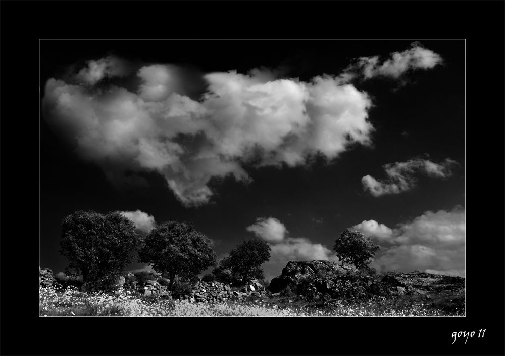 LUZ DE TORMENTA