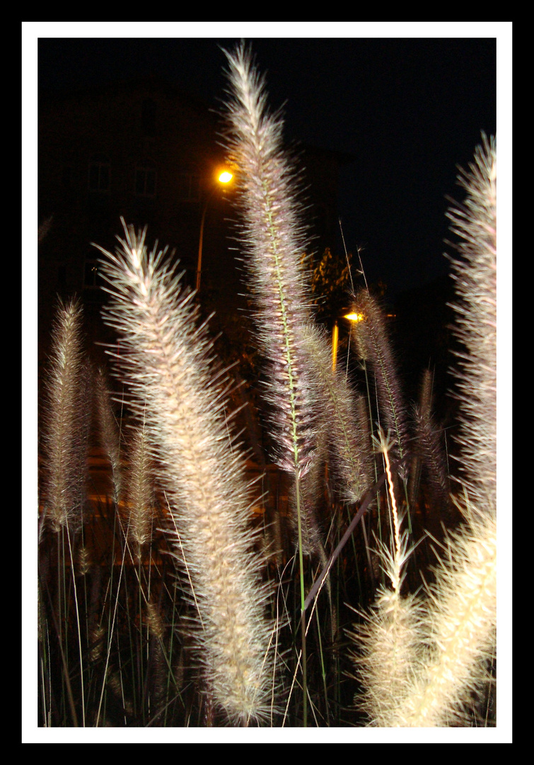 LUZ EN LA NOCHE