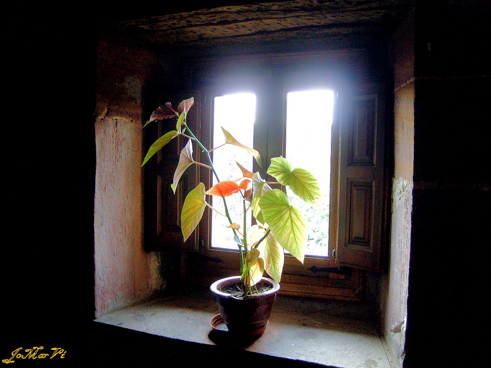 Luz en la ventana de la abadía