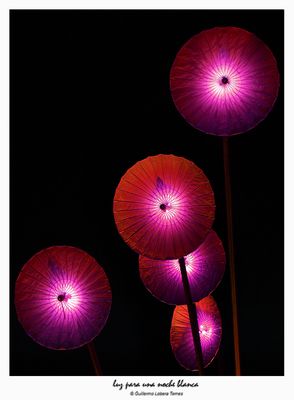 luz para una noche blanca