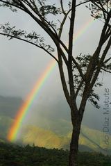 Luz y agua