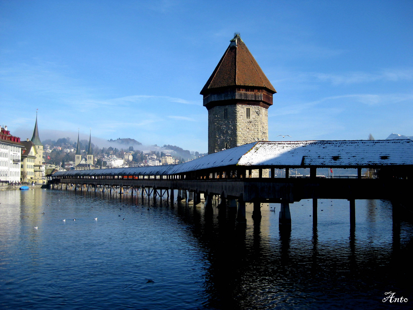 LUZERN 2013