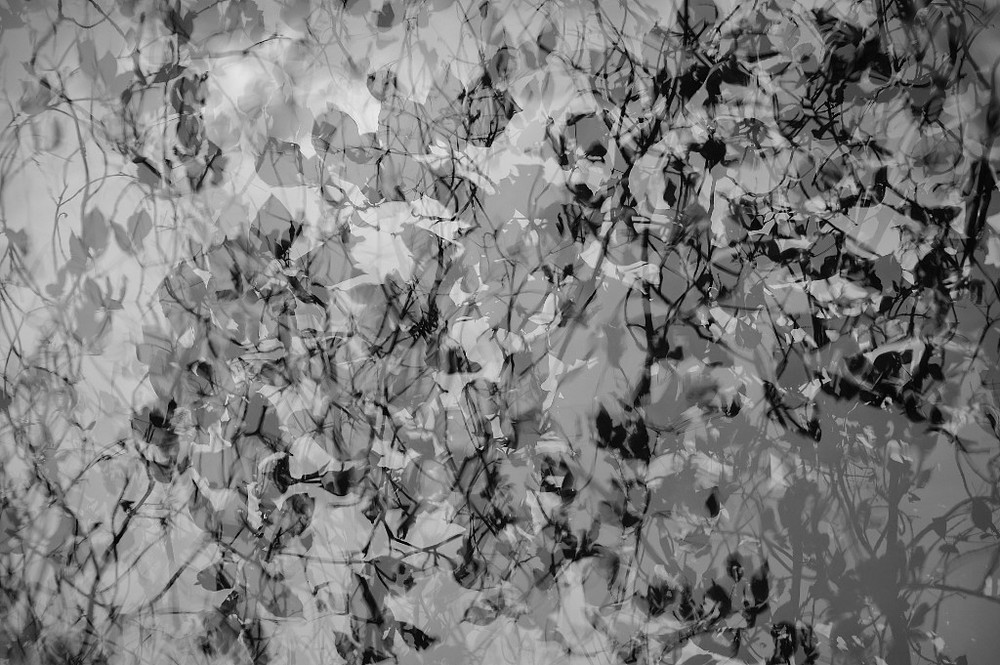 luzern - autumn foliage