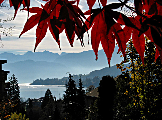 Luzern im Gegenlicht