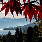 Luzern im Gegenlicht