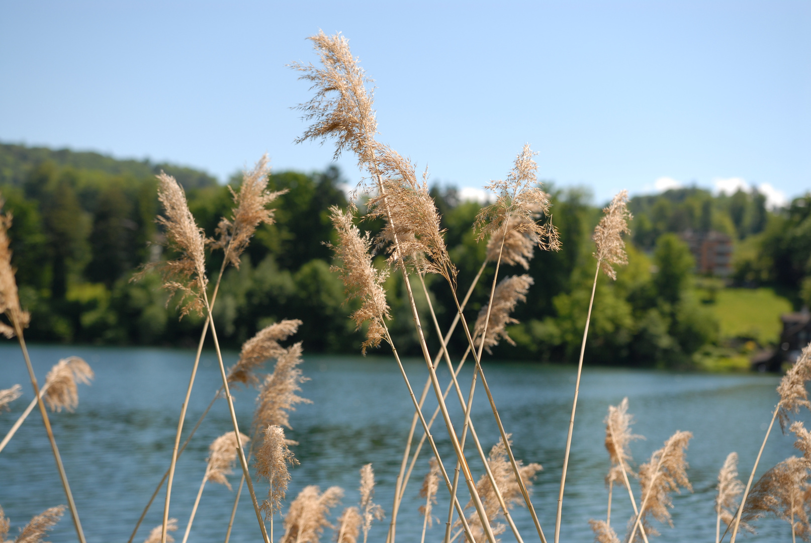 Luzern Rotsee