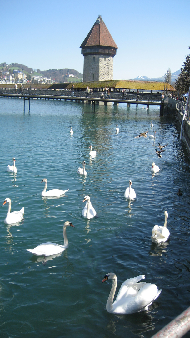 Luzern Vierwaldstättersee