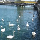 Luzern Vierwaldstättersee