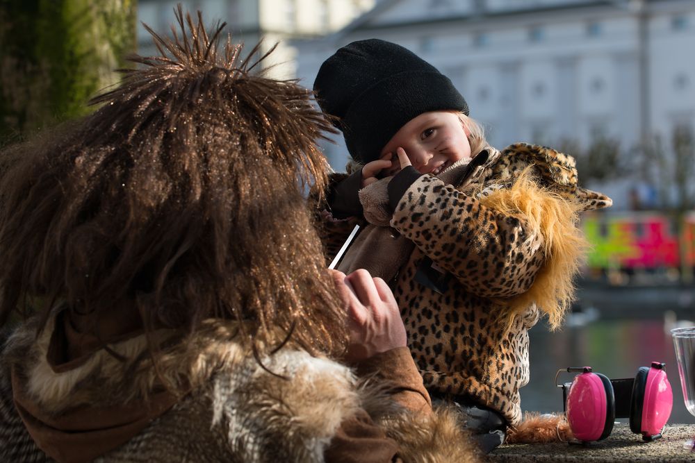 Luzerner Fasnacht 2014 / 6