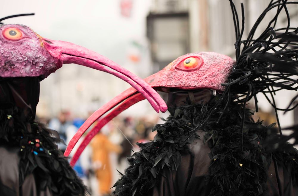 Luzerner Fasnacht 2018