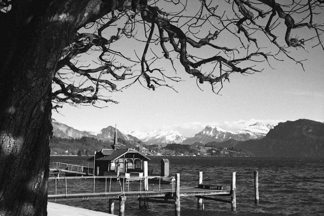 Luzernerbucht, Alpensicht