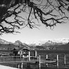 Luzernerbucht, Alpensicht