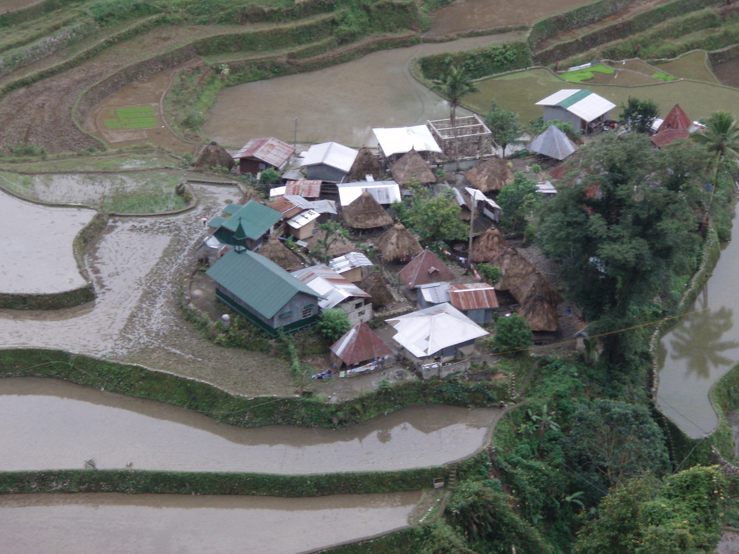 Luzon - village in rice terraces