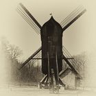 LVR Kommern (74) historische Bockwindmühle 