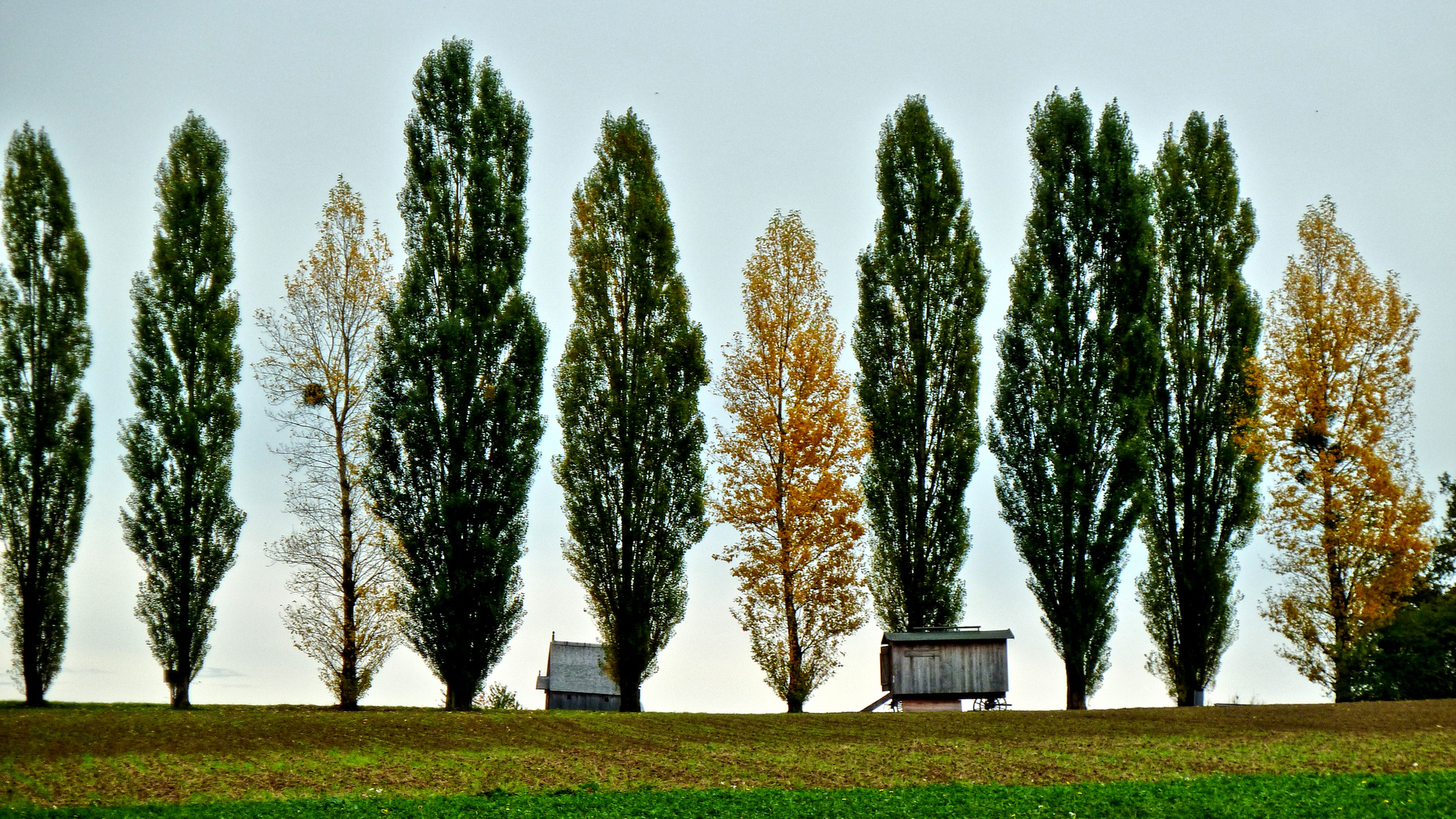 LWL-Freilichtmuseum Detmold