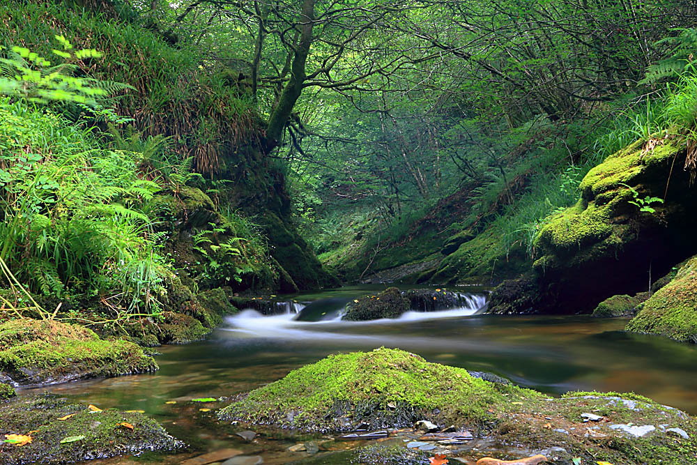 Lydford Gorge