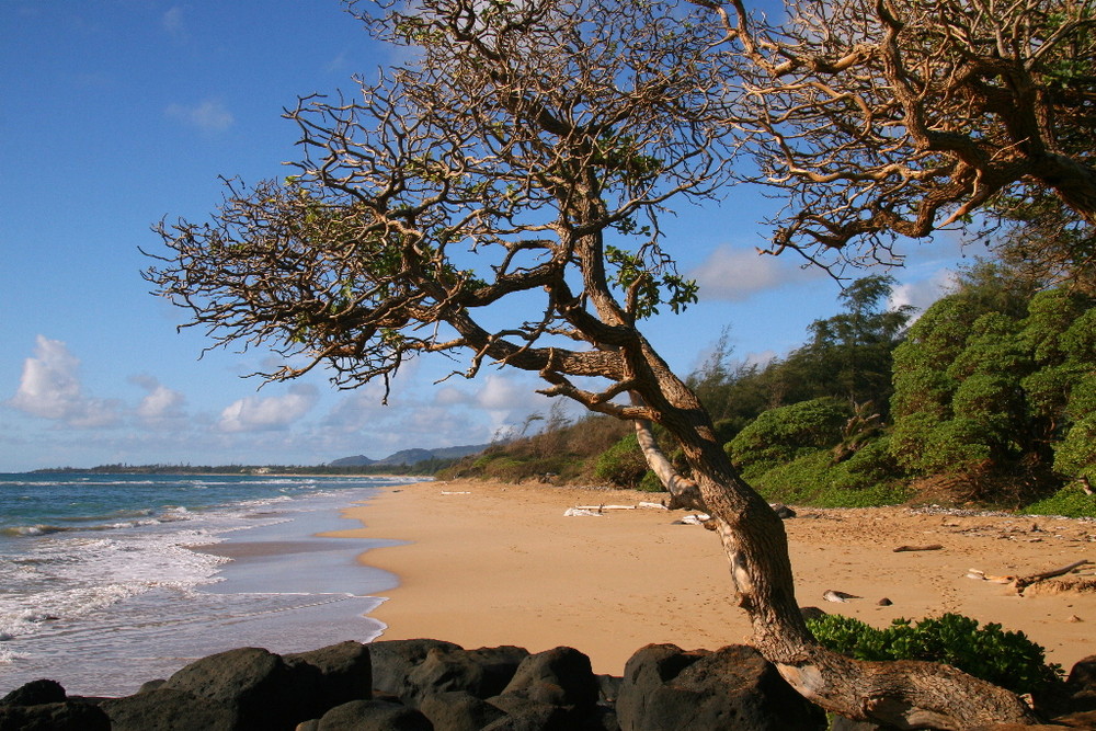 Lydgate Beach Park auf Kauai