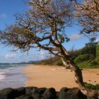 Lydgate Beach Park auf Kauai