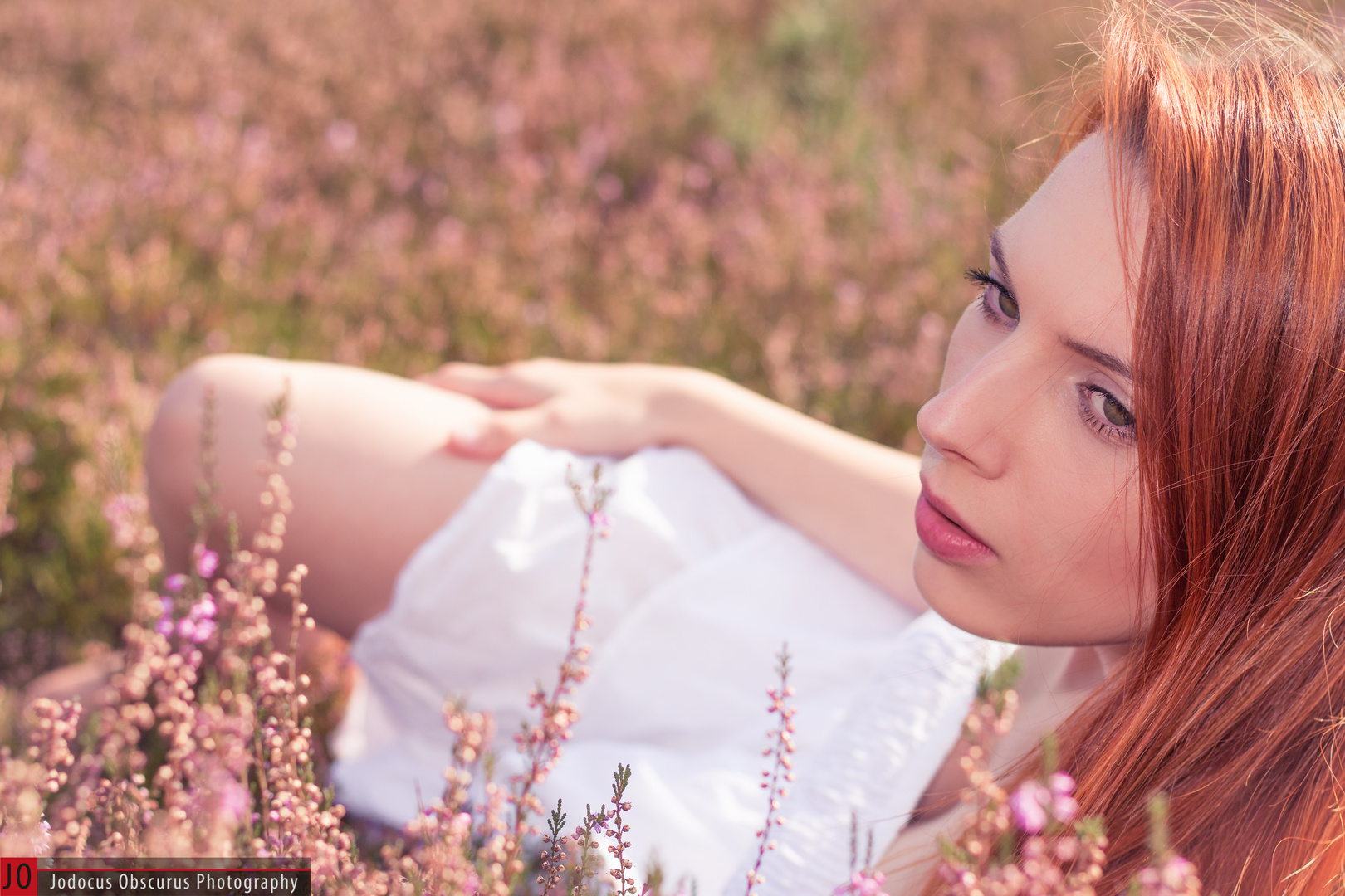 Lying in heather