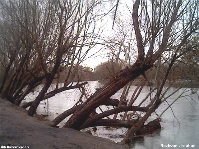 lying on the river