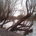 lying on the river