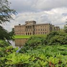 Lyme Park