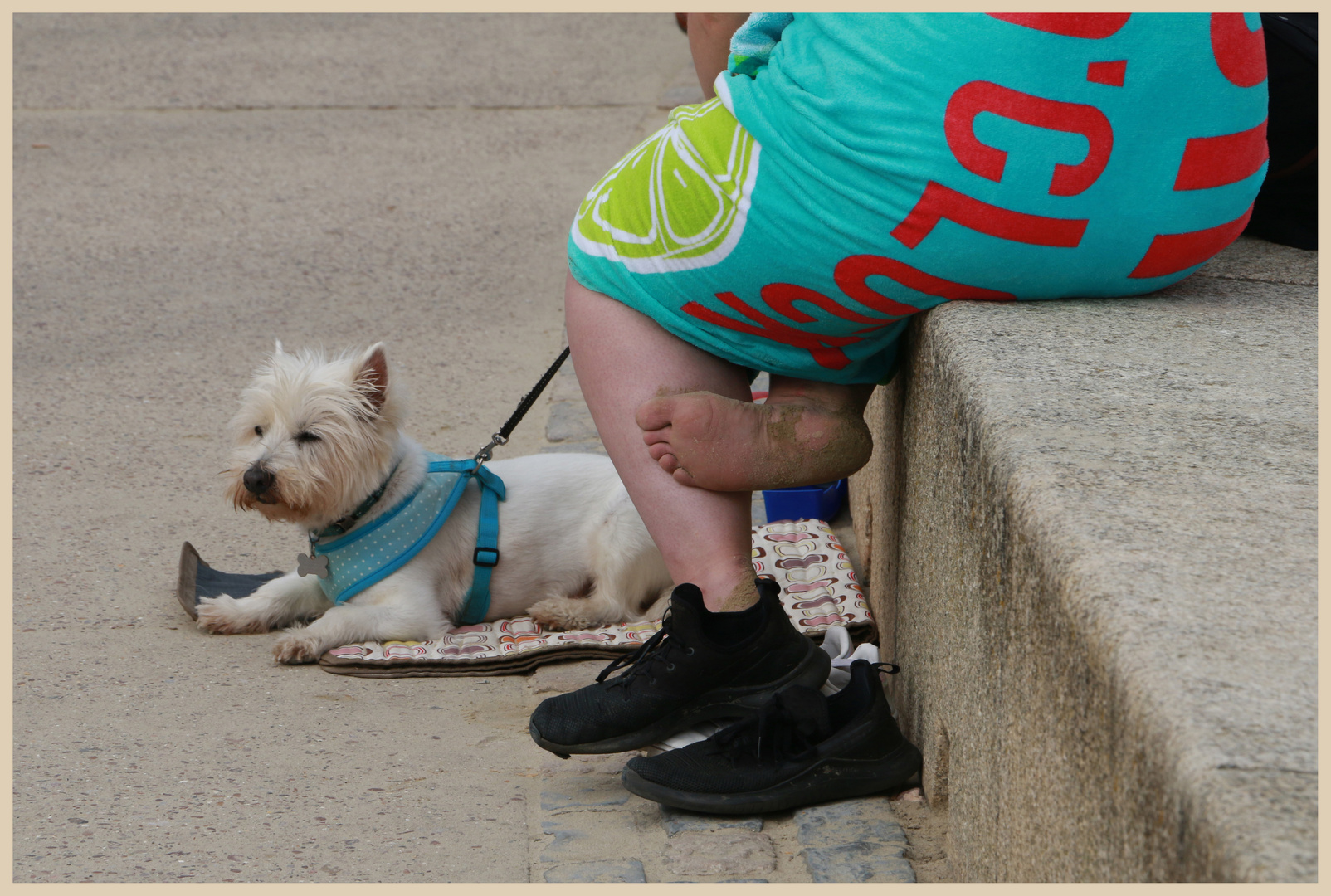 Lyme regis 4