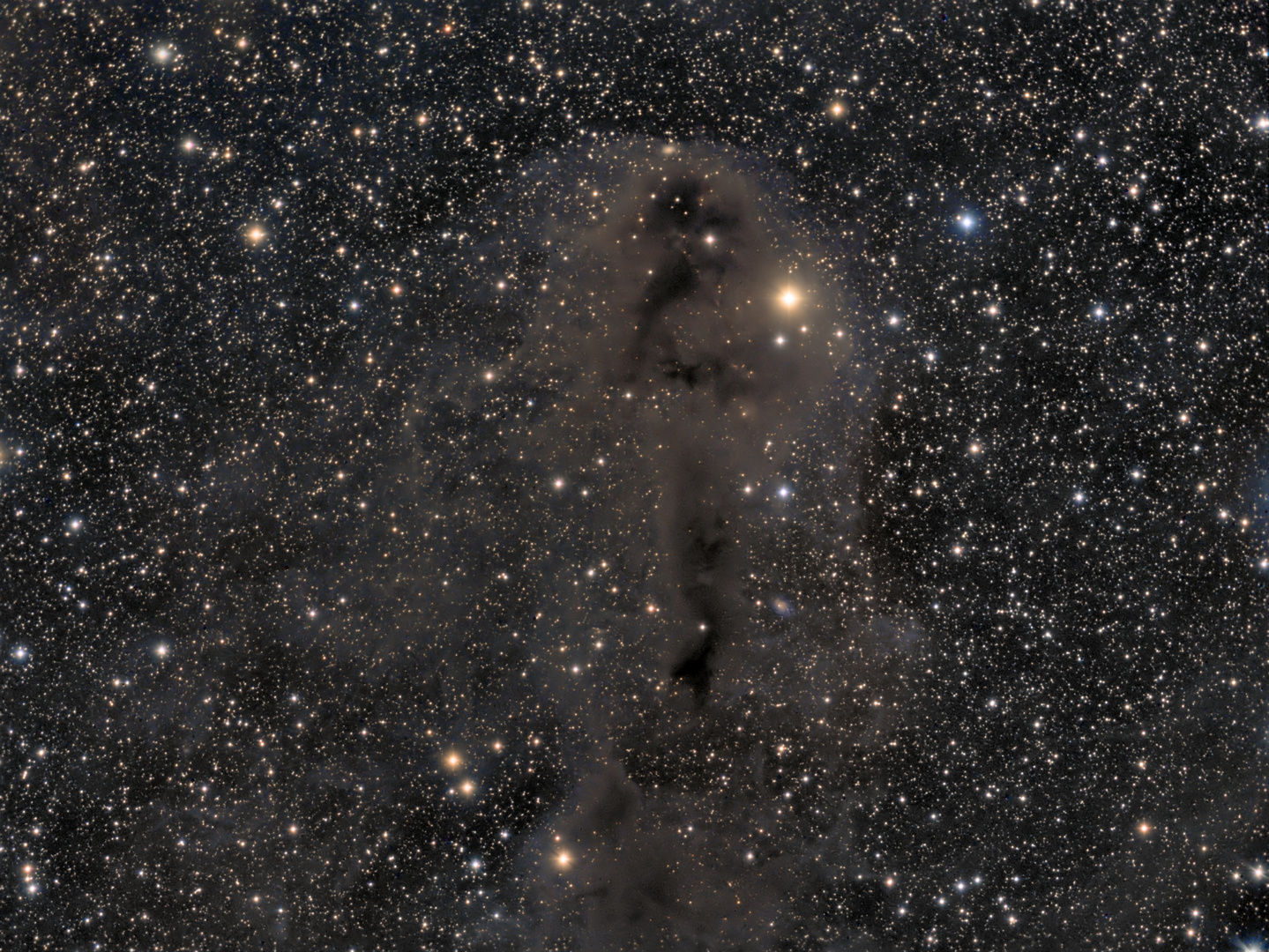 Lynds Dark Nebula 1251 im Sternbild Cepheus