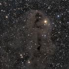 Lynds Dark Nebula 1251 im Sternbild Cepheus