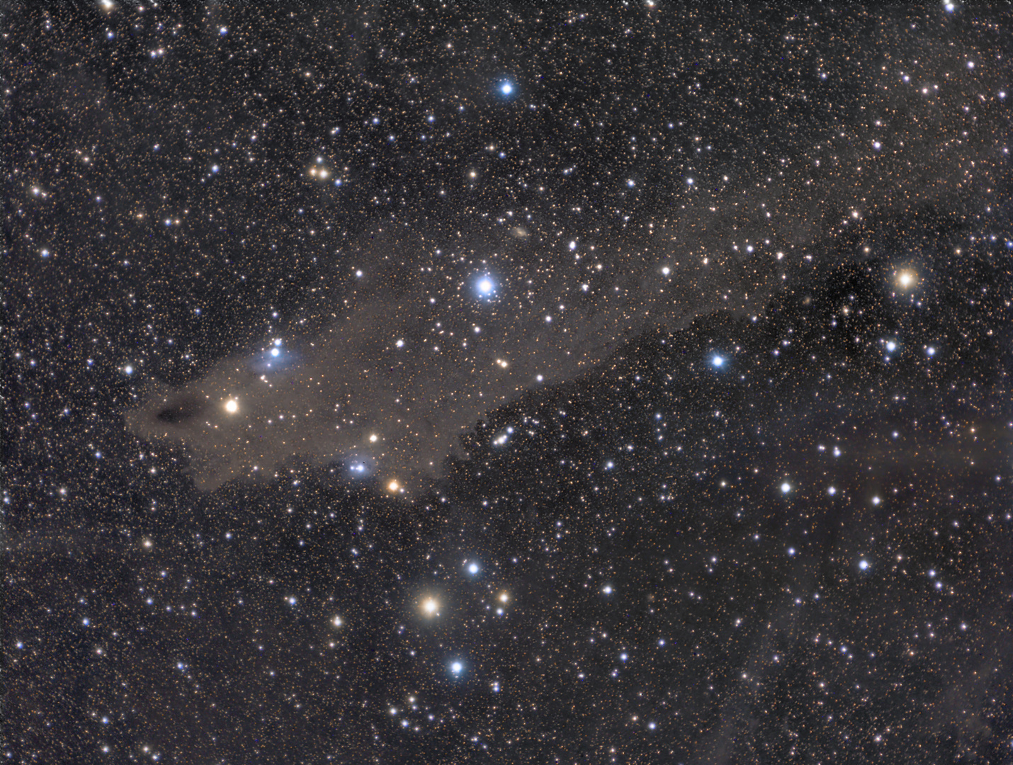 Lynds Dark Nebula (Shark) 1235 im Sternbild Cepheus