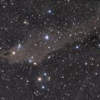 Lynds Dark Nebula (Shark) 1235 im Sternbild Cepheus