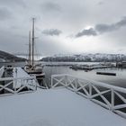 Lyngen (13)