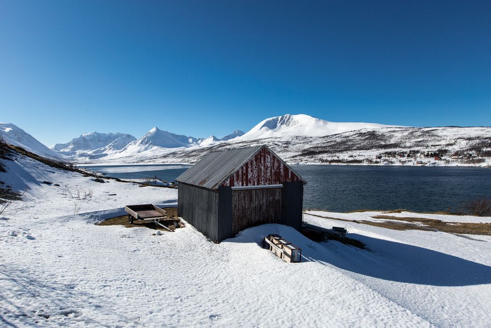 Lyngen (14)