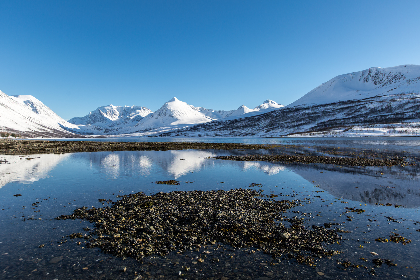 Lyngen (2)