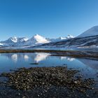 Lyngen (2)