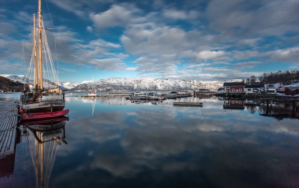 Lyngen (9)