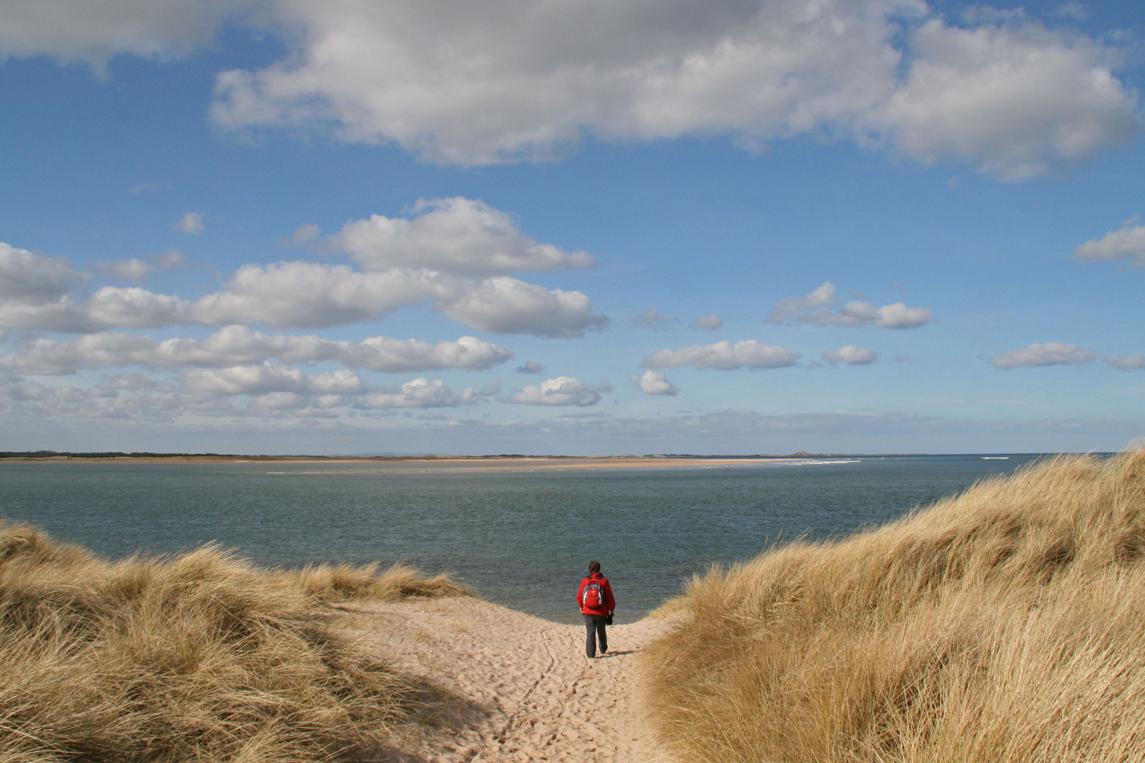 lynn at budle bay