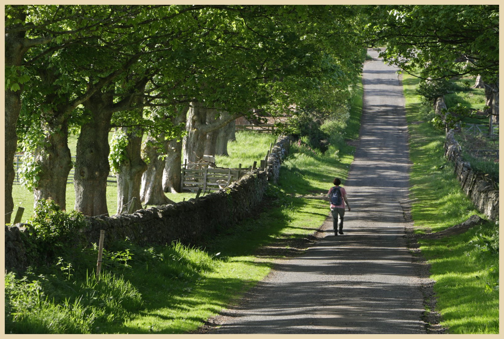 lynn at hethpool