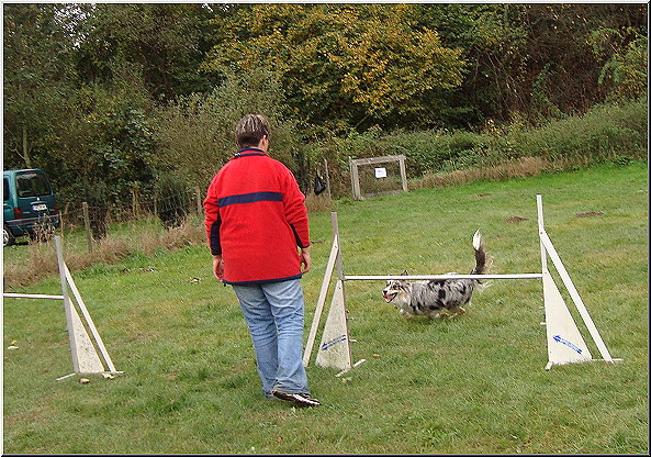 Lynn beim Agility Training;-)