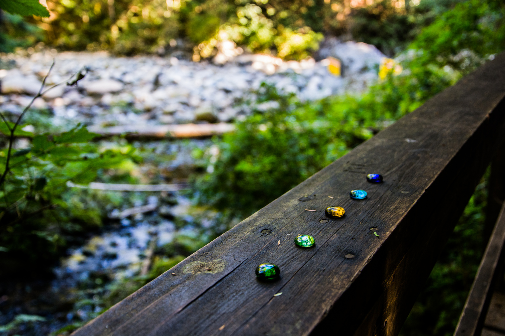 Lynn Canyon, Vancouver