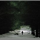 Lynn entering a dark wood near Fairhaugh, Cheviot Hills