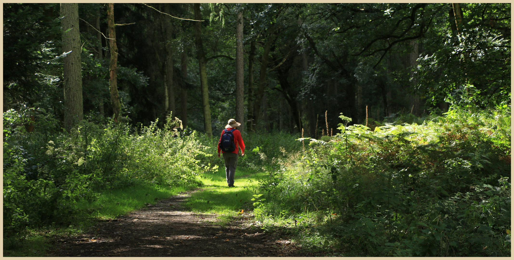 Lynn in Croft castle woods