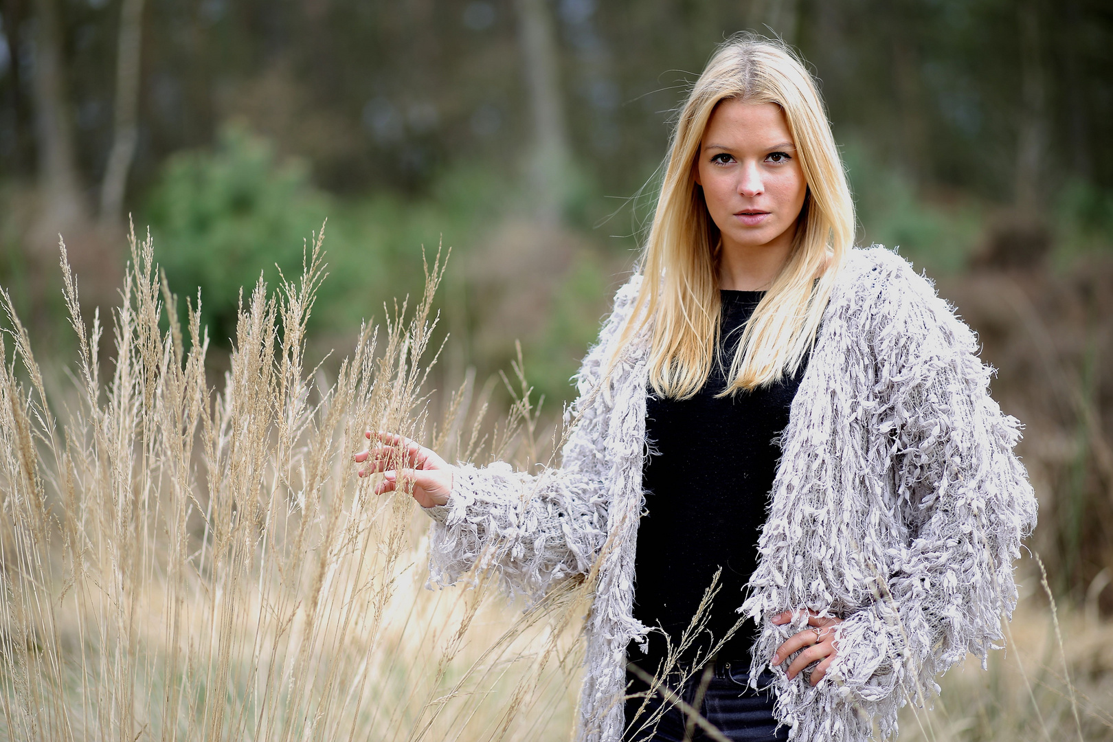 Lynn in der Wahner Heide