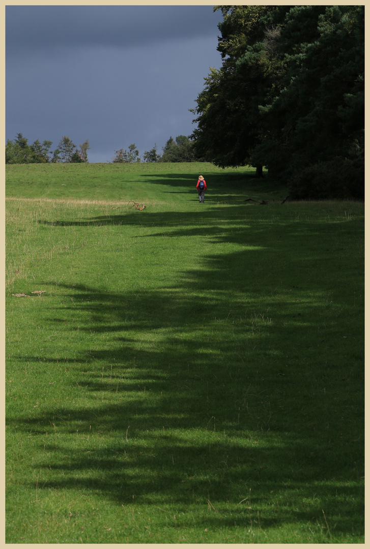 Lynn on Bircher Common