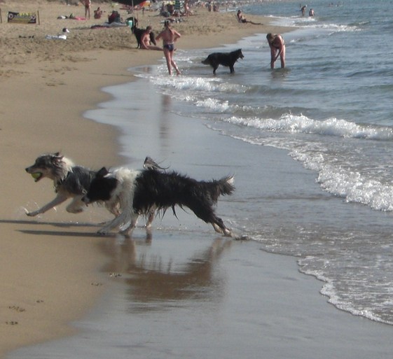 Lynn und Jamie am "DOG-BEACH"