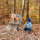 Lynn und Liska im Herbstwald